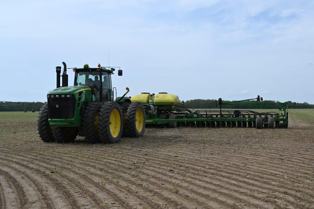 Photo Soybeans