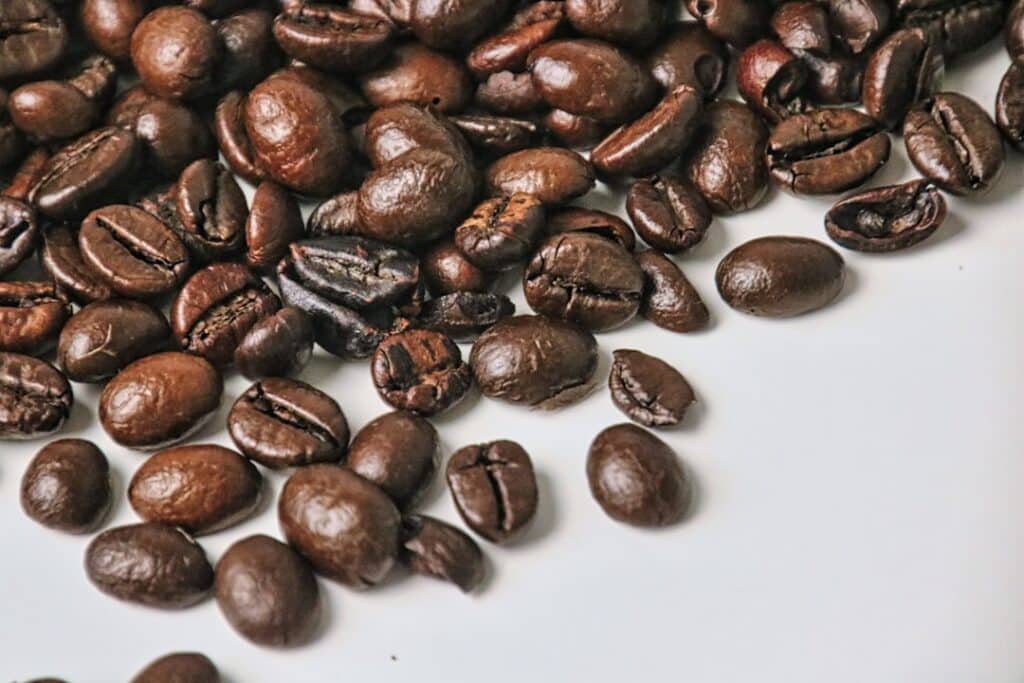 Photo Black seed plant