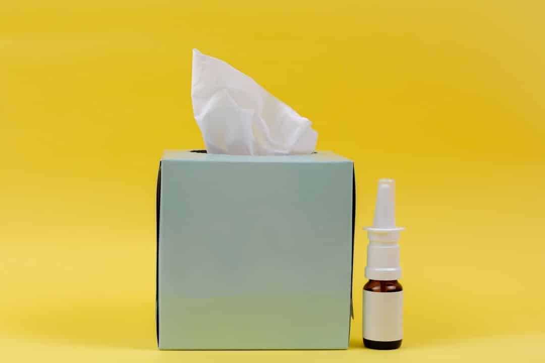 Photo Allergy relief