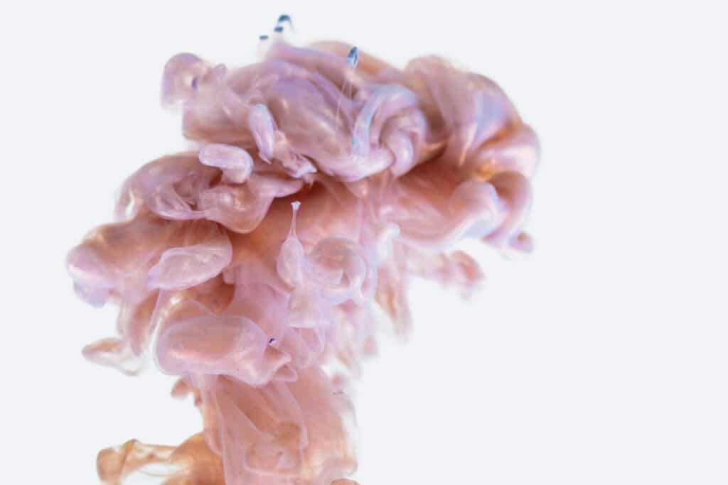 Photo Brain function
