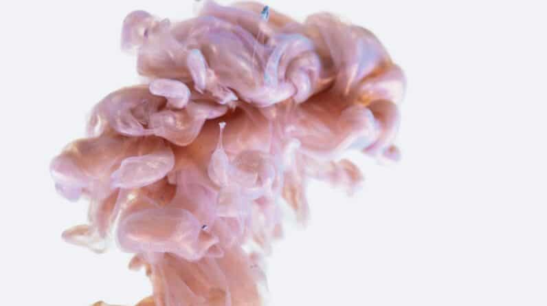 Photo Brain function