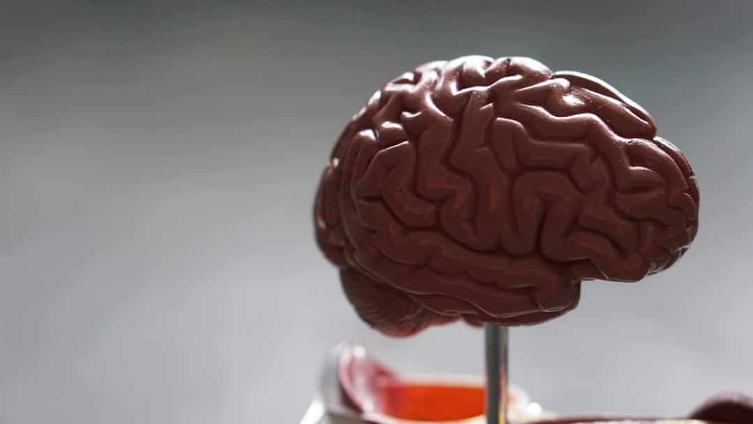 Photo Brain illustration