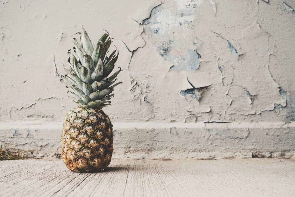 Photo Pineapple enzyme