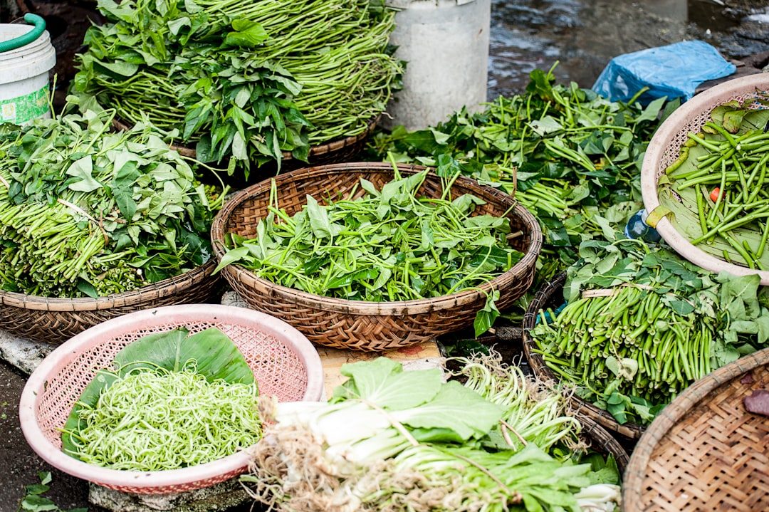 Photo Natural herbs