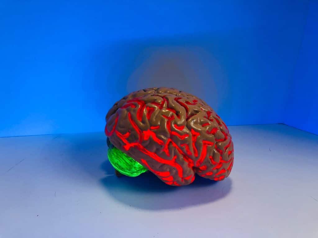 Photo Brain illustration