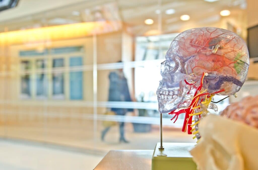 Photo Brain function