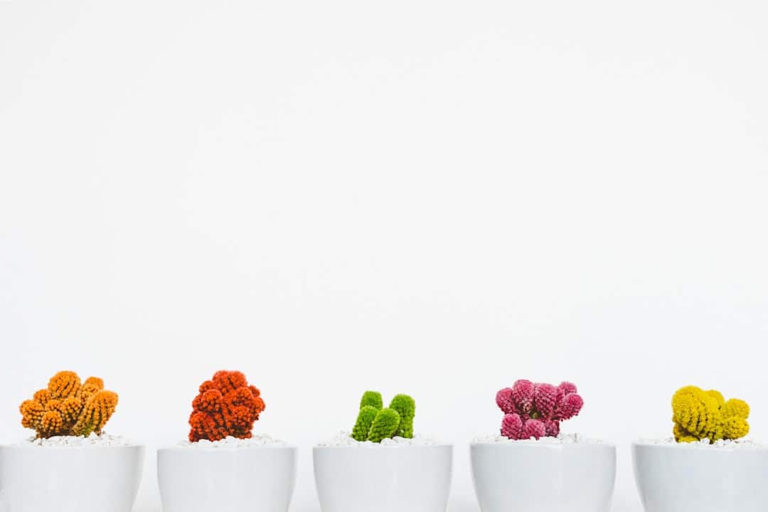 Photo Valerian Root Plant