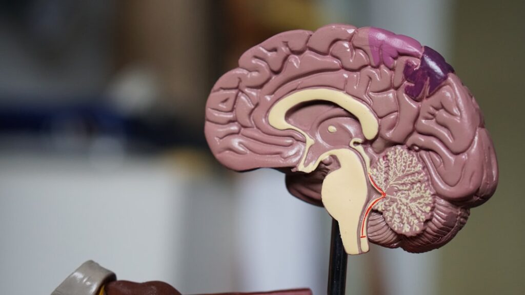 Photo Brain chemicals