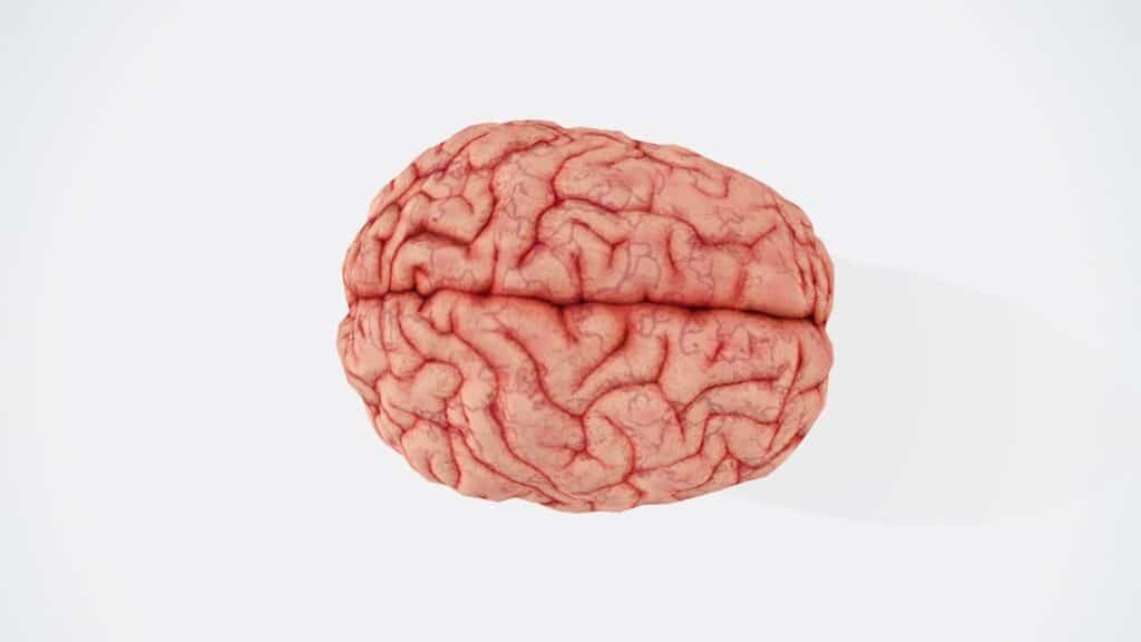 Photo Brain chemistry