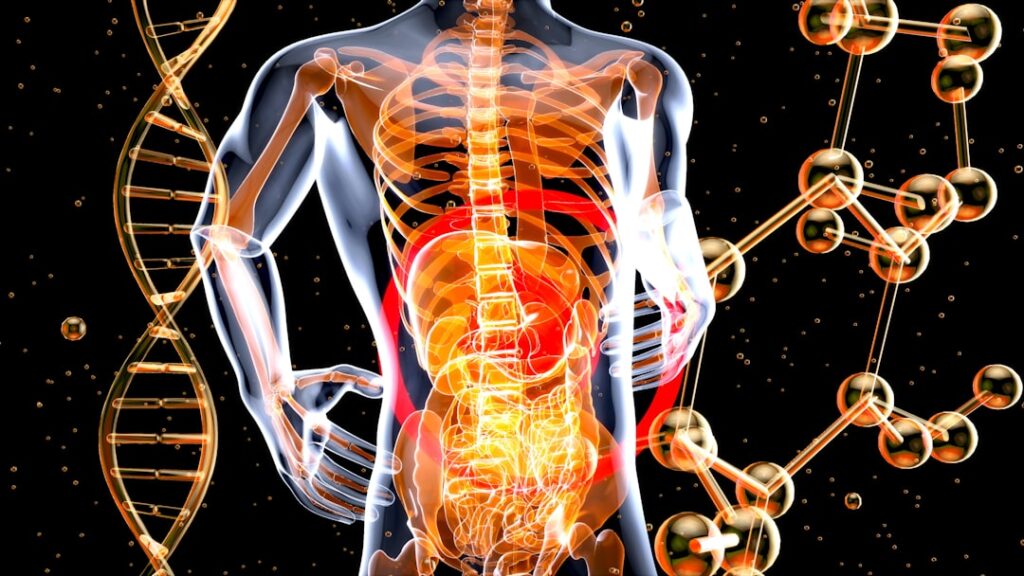 Photo Kidney health