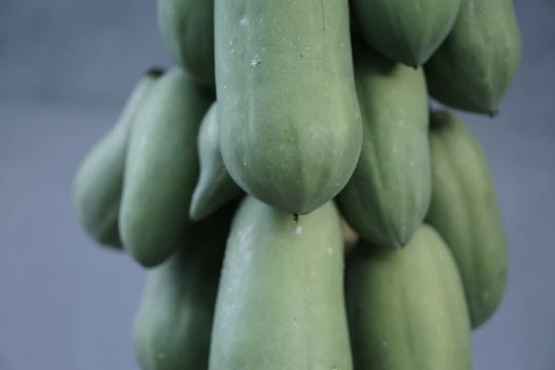 Photo Papaya slice