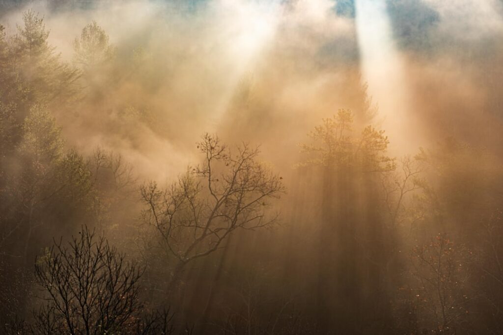 Photo Morning sunlight