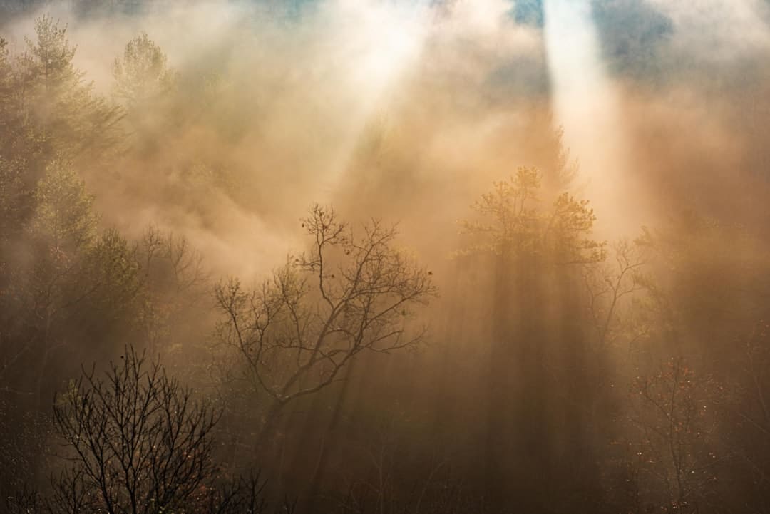 Photo Morning sunlight
