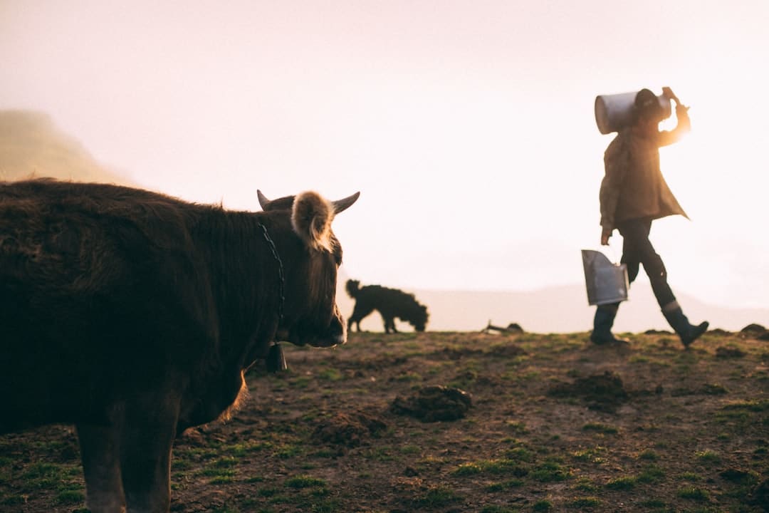 Photo Milk