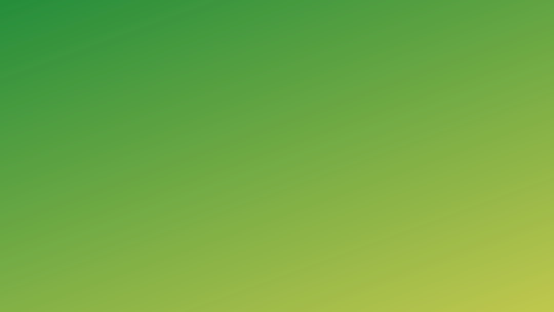 Photo Green tea leaves