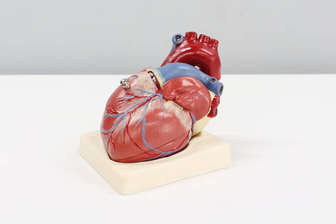 Photo Heart-shaped pill