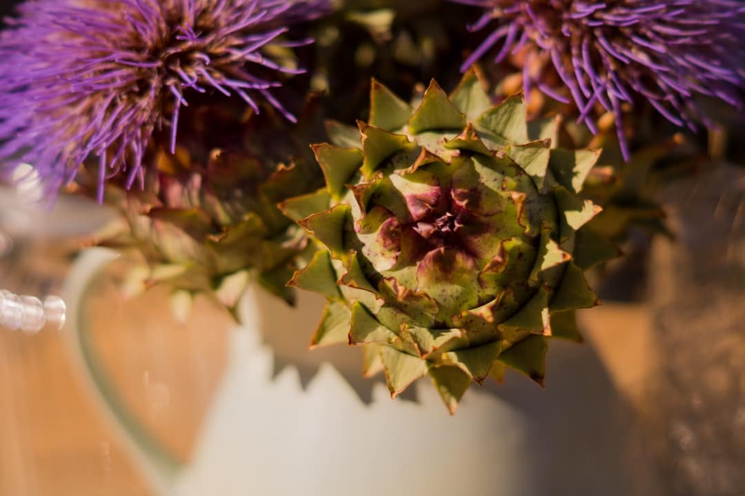 Photo Artichoke leaf