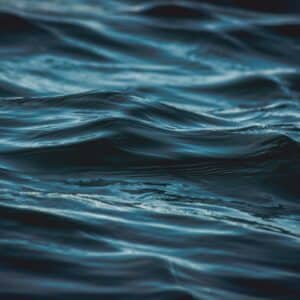 Photo Water retention