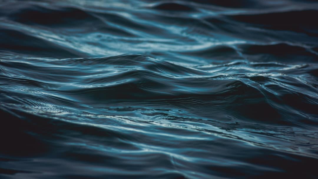 Photo Water retention