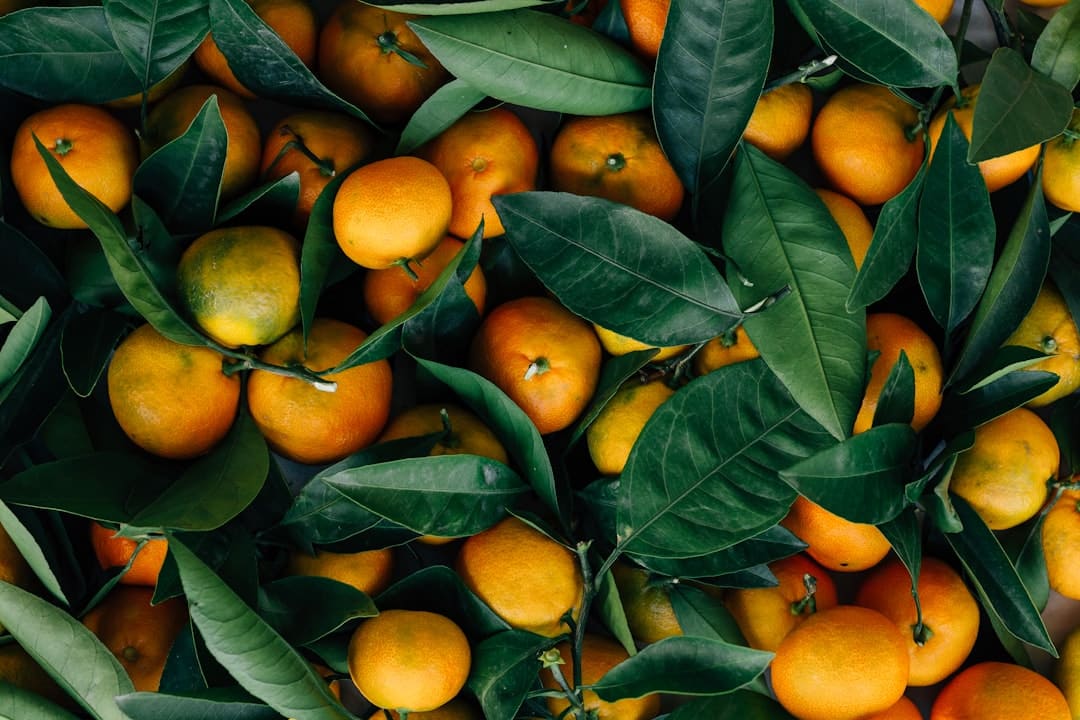Photo Fresh fruits