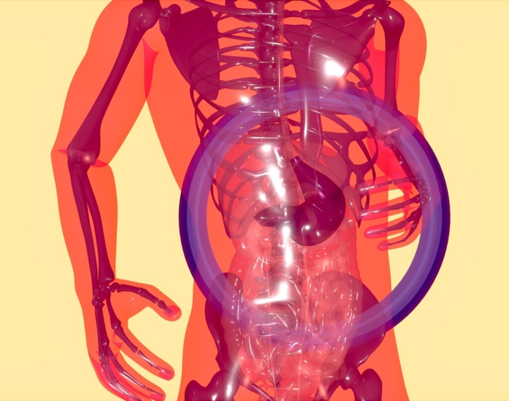 Photo Digestive Health