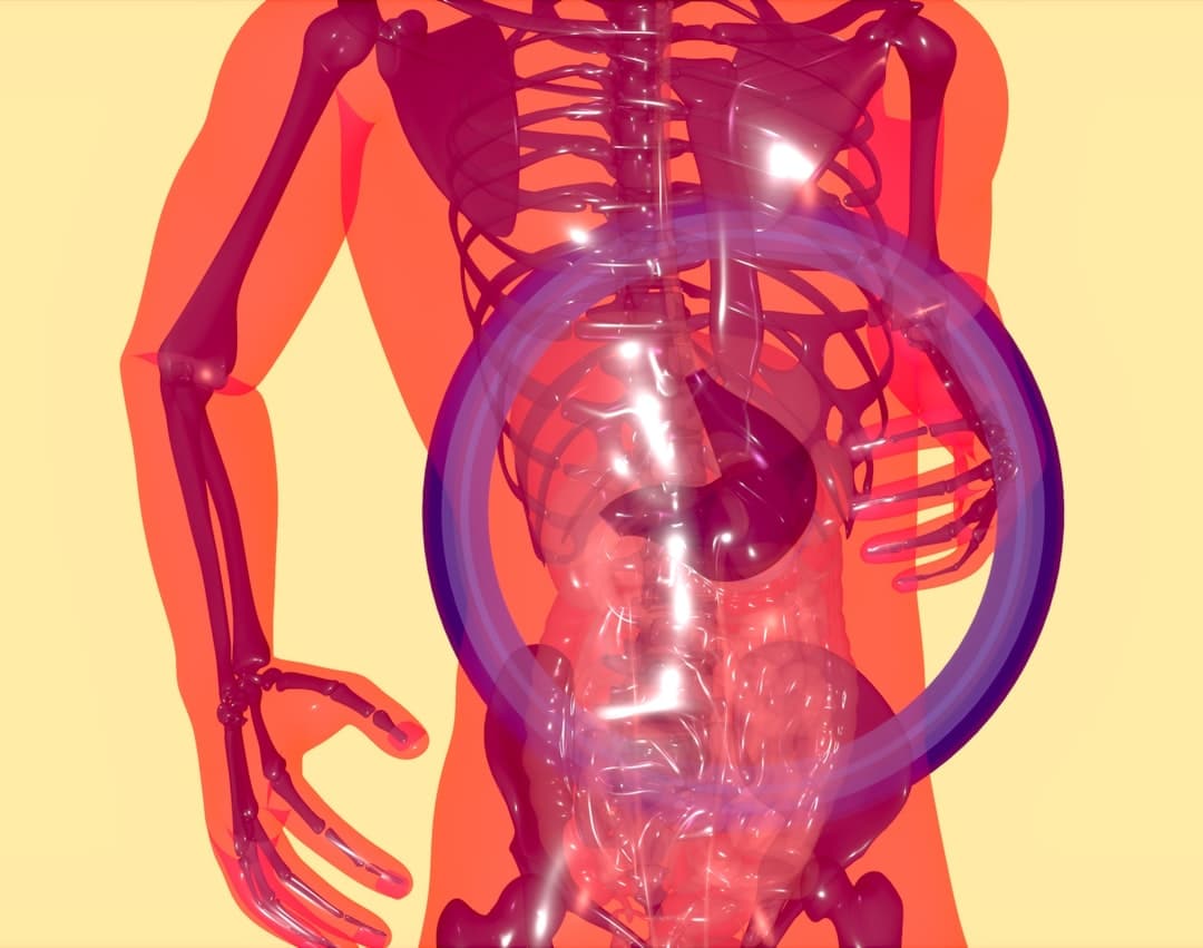Photo Digestive Health