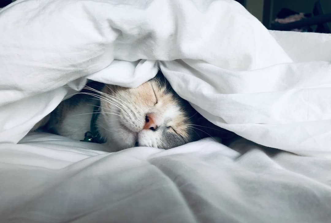 Photo Sleep disturbance