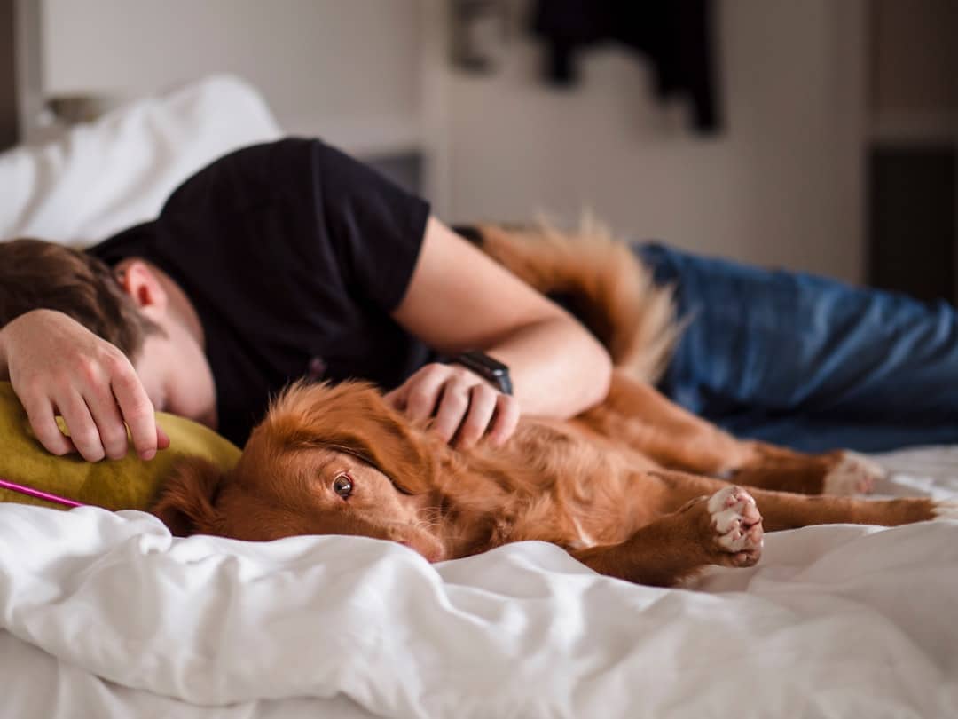 Photo Sleeping person
