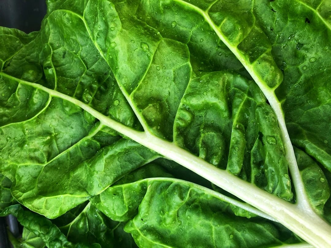 Photo Green vegetables