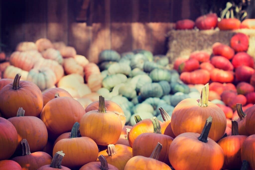 Photo Seasonal Schedule