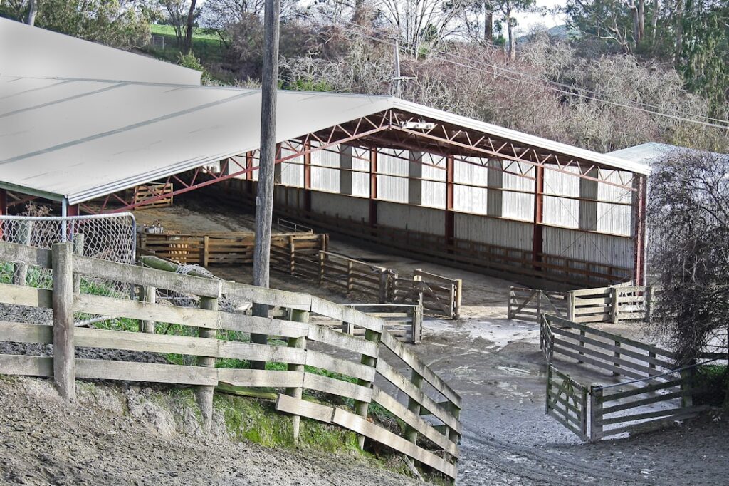 Photo Engaging Posts