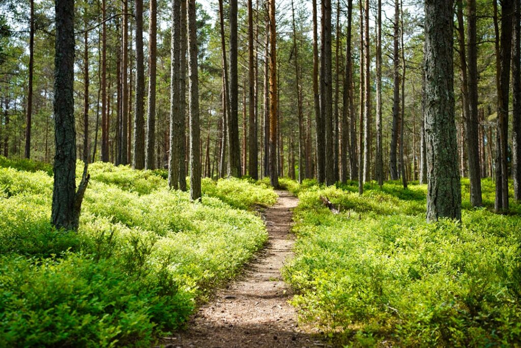 Photo Nature Trail