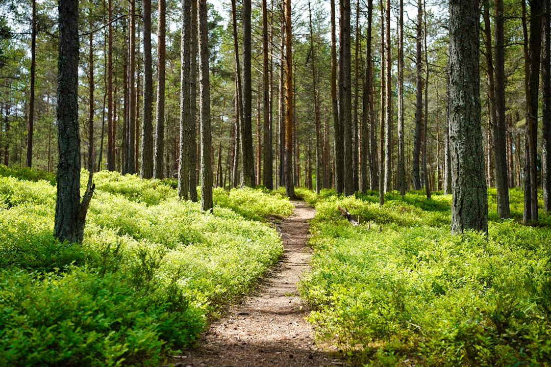 Photo Nature Trail