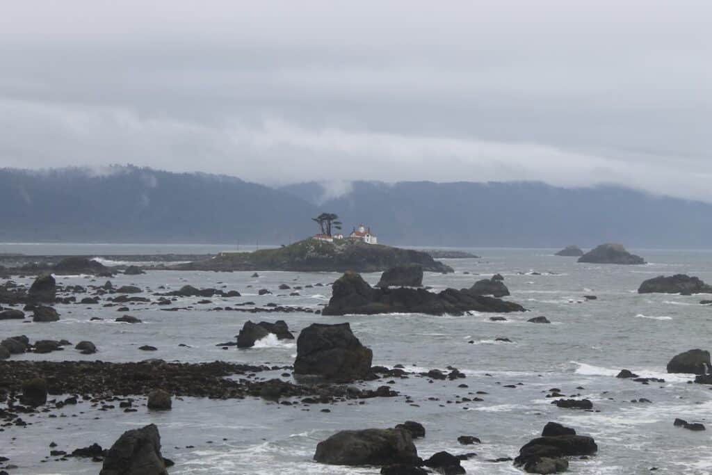 Photo Kelp capsules