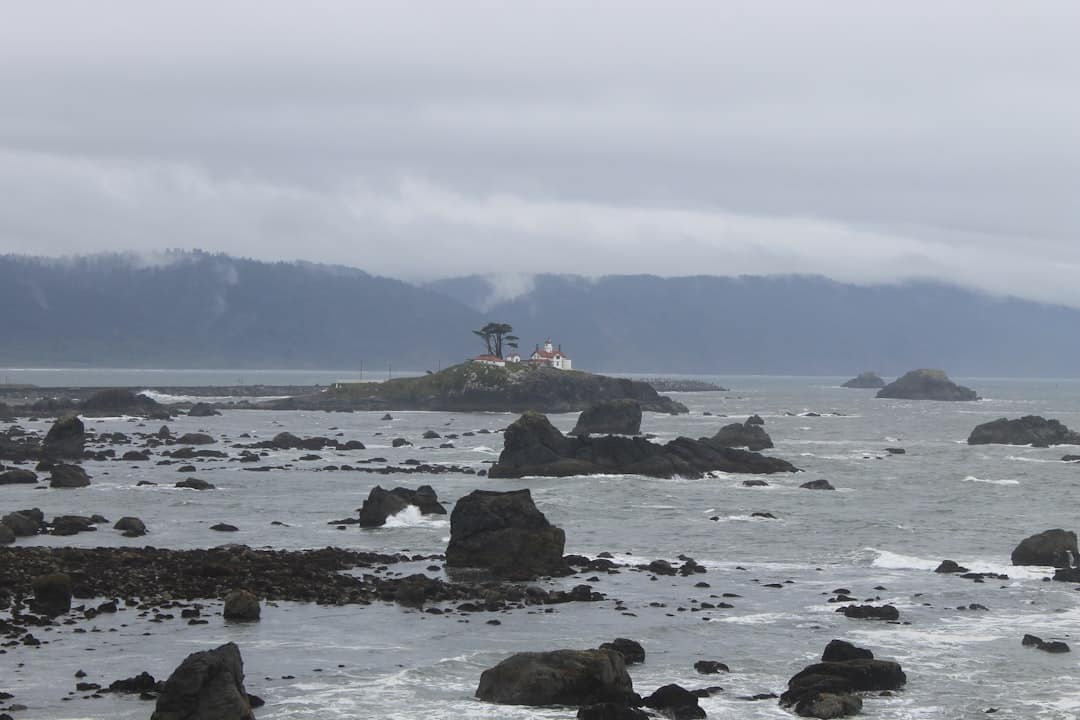 Photo Kelp capsules