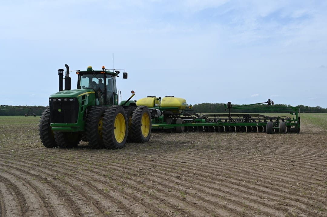Photo Soybeans