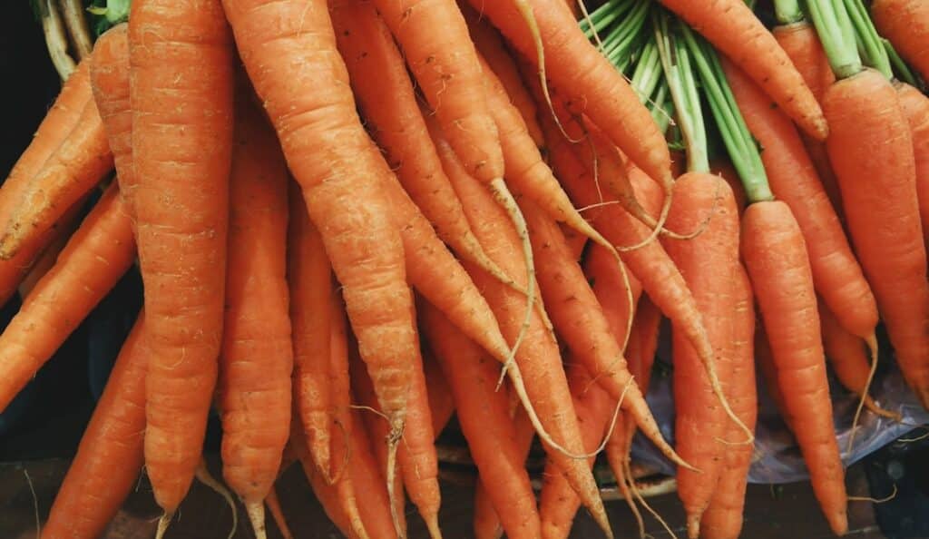 Photo Carrot capsules