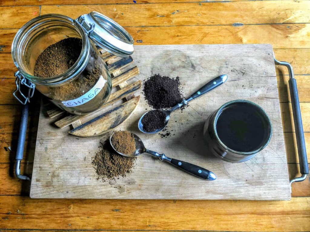 Photo Chaga mushroom