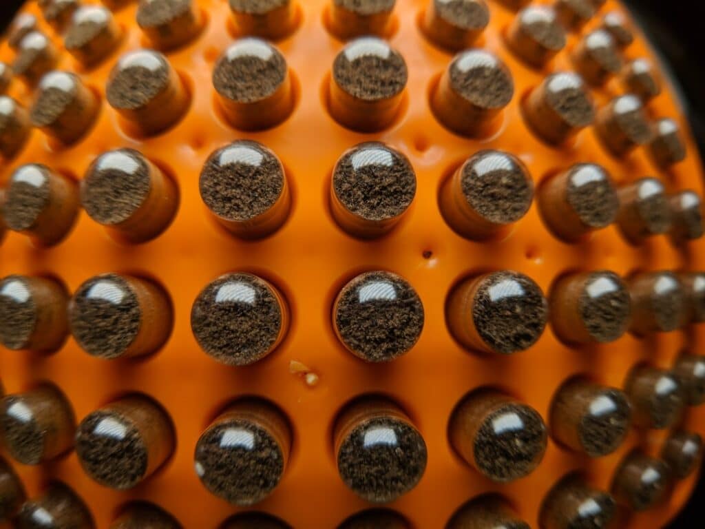 Photo Enzyme capsules