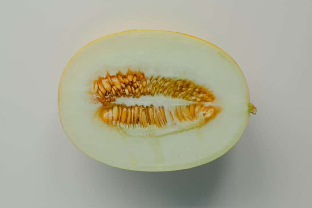 Photo Bitter Melon Capsules