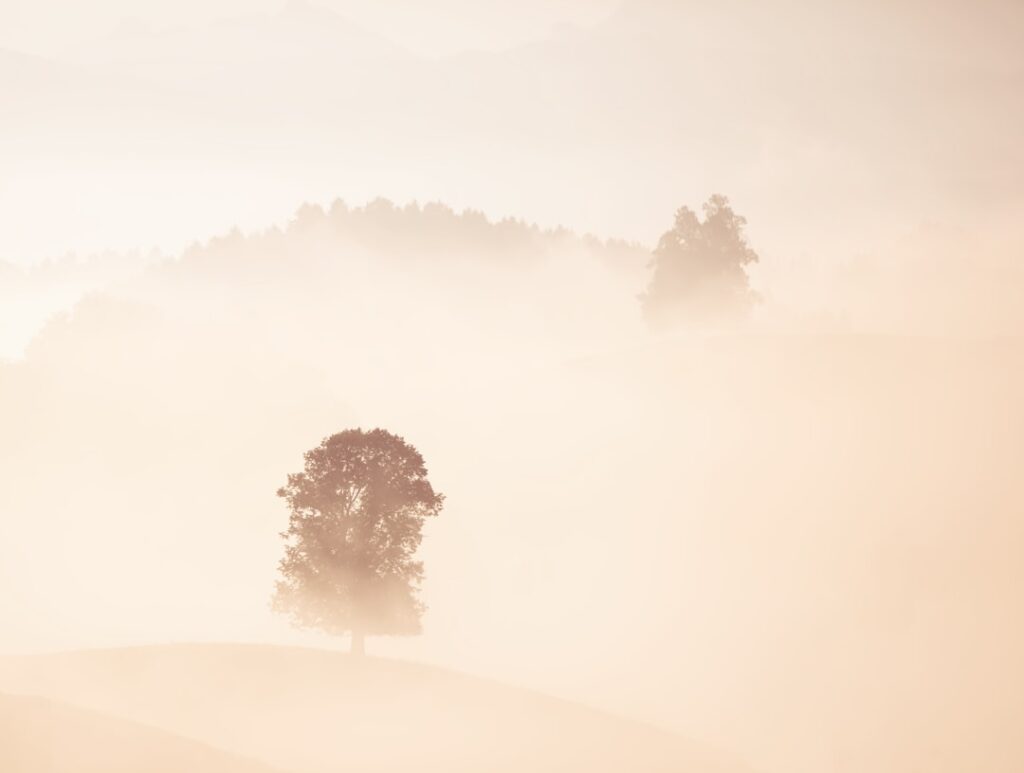 Photo Brain fog