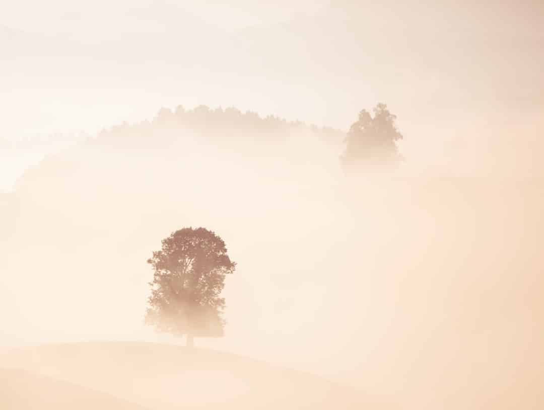 Photo Brain fog