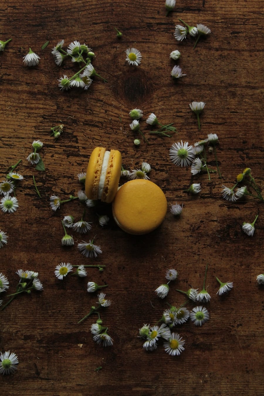Photo "Gabapentin Alternatives: Soothe Nerve Pain Without the Fog"