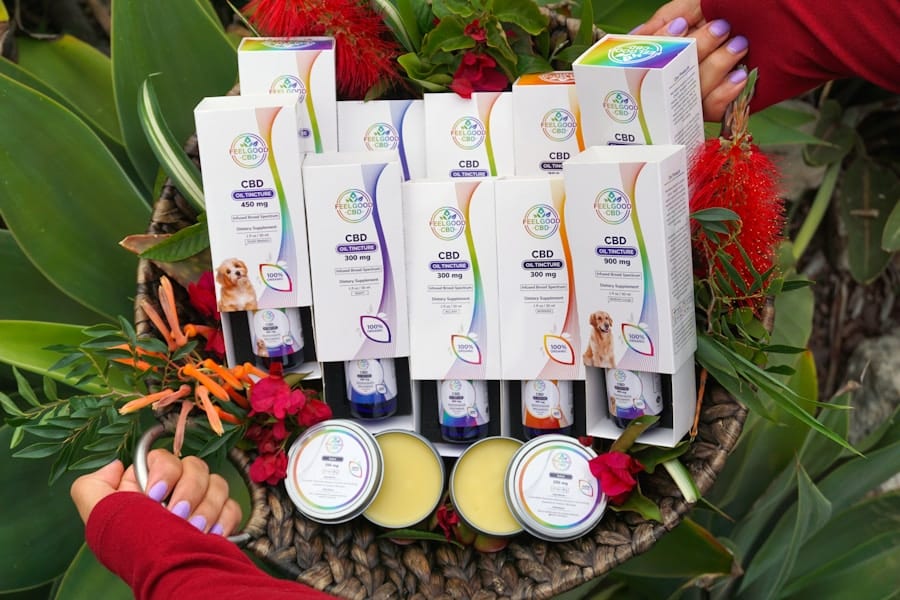Photo "Buspar Alternatives: Gentle Relief for Anxiety and Worry"