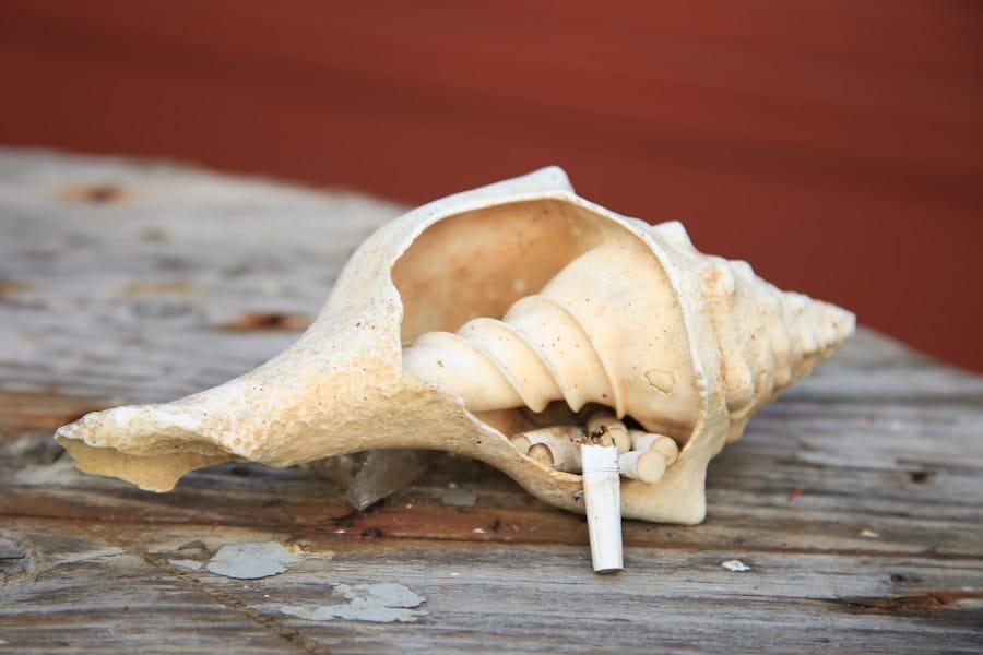 Photo "Fosamax Alternatives: Strengthen Your Bones Naturally"