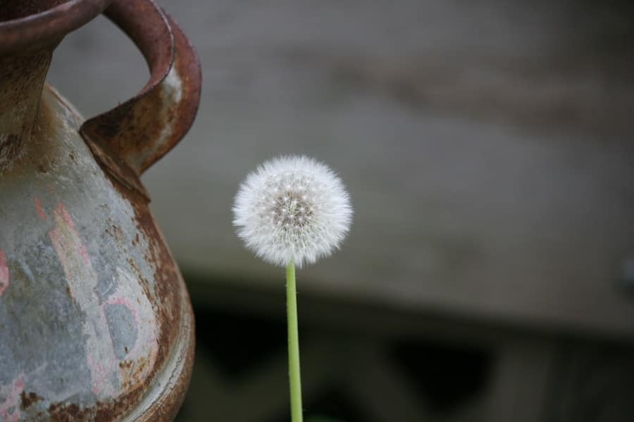 Photo "Concerta Alternatives: Unlock Your Focus and Concentration Naturally"