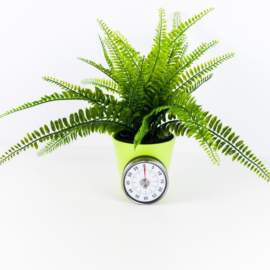 Photo "Norvasc Alternatives: Control Your Blood Pressure the Natural Way"