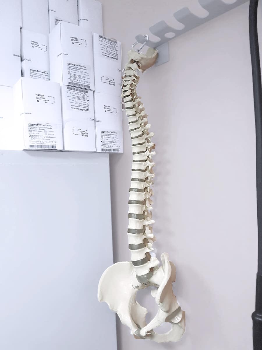 Photo "Boniva Alternatives: Strengthen Your Bones the Natural Way"
