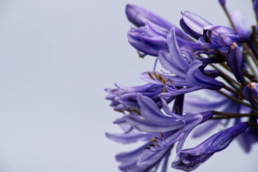 Photo "Is There a Safer Alternative to Lyrica for Fibromyalgia?"