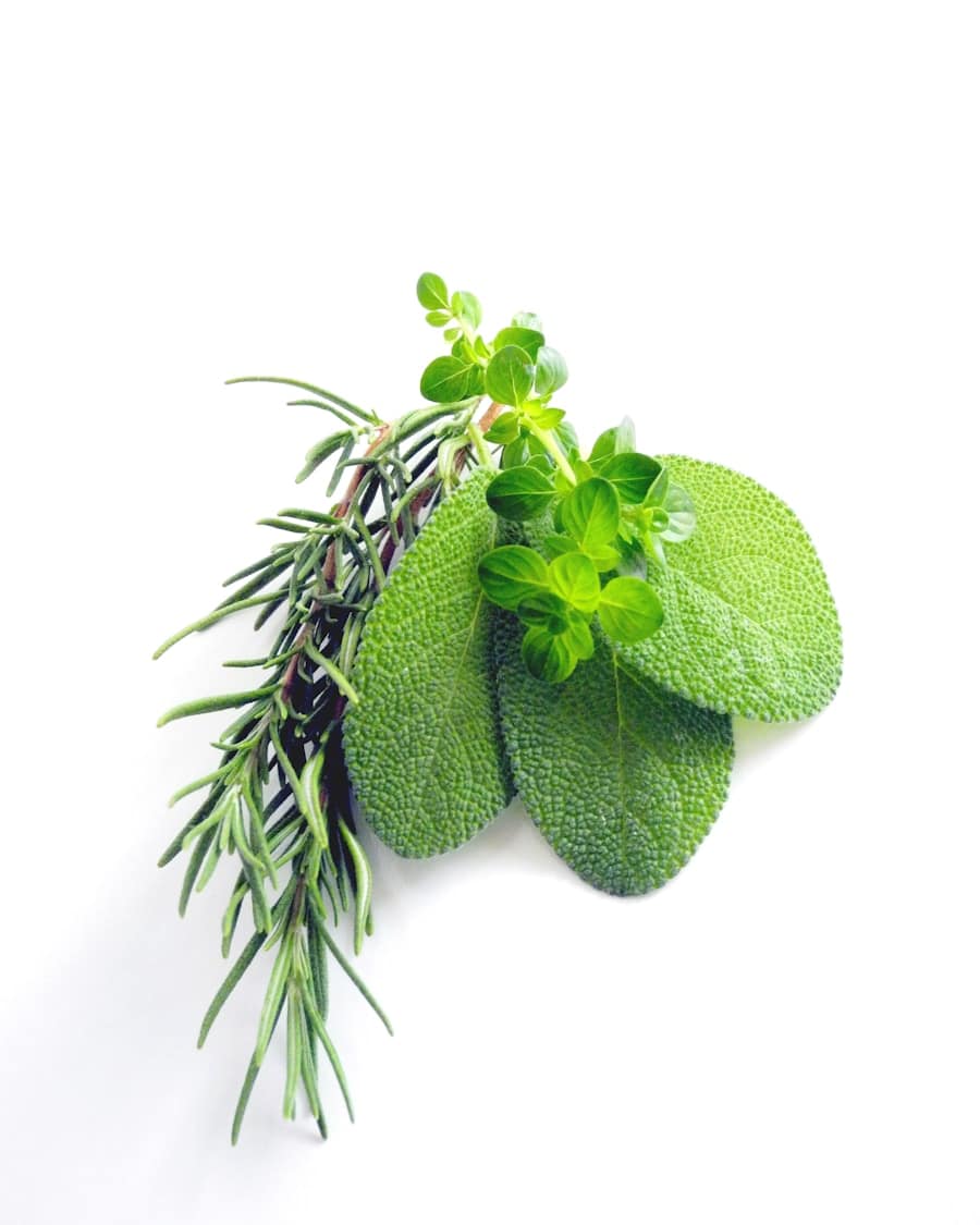 Photo "The Natural Alternatives to Januvia for Type 2 Diabetes"